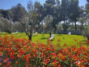 a park with chairs and flowers in the grass at Agriturismo Scalelle in Otranto +111 photos