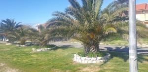 Fotografie z fotogalerie ubytování Mobilehome Lana v destinaci Privlaka