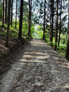 Billede fra billedgalleriet på Charming 18th Century Wooden cottage i Rohrbach an der Lafnitz