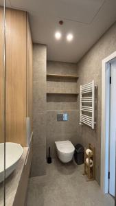 a bathroom with a white toilet and a sink at Pušų natos in Druskininkai