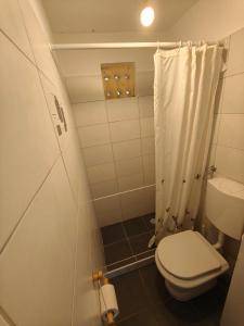 Un pequeño baño con inodoro y ducha. en Robinson house Vito, en Bol