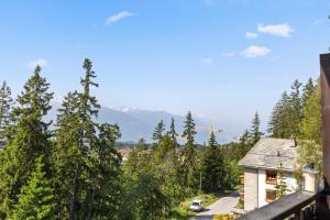 克莱恩 蒙塔纳Piscine, Ski & Vue sur le lac - Crans 6 pers的一架直升机正在飞过一栋房屋和树木