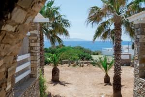 a view of a yard with two palm trees at Traditional Cycladic Home Paros in Naousa