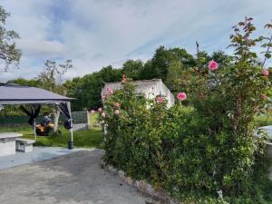 a garden with roses and a shed and a bush at Vila Montecelos in Antas de Ulla