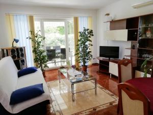 un salon avec un canapé et une table en verre dans l'établissement Holiday home Davorka with garden and barbecue, à Ližnjan