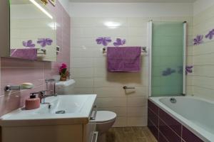 uma casa de banho com um lavatório, um WC e um chuveiro em Apartment Many em Pula mais 12 fotografias
