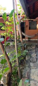 Gallery image of Recanto das Frutas in Cavalcante