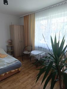 a bedroom with two beds and a potted plant at Miętowa Przystań in Mielno
