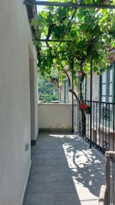 Balkón nebo terasa v ubytování Selice 9 B&B