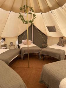 a tent with two beds in a room at Bell Tent Village Parks in Nottingham