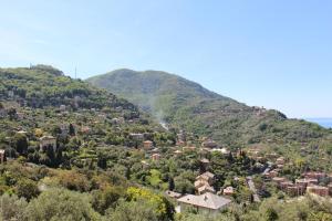 Imagen de la galería de B&B Villa Orchidea, en Camogli 22 fotos más