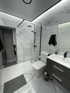 a bathroom with a toilet and a shower and a sink at Casa San Juan in Santa Maria de Guia de Gran Canaria