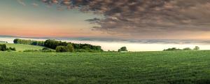 a field of green grass with a cloudy sky at Karavan na samotě u lesa in Zámrsky