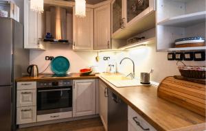 Kuchyňa alebo kuchynka v ubytovaní Two-Bedroom Apartment In Ivan Dolac