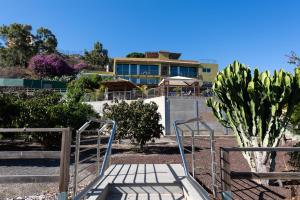 dom z kaktusem przed budynkiem w obiekcie Finca Oasis Holidays & Health - Charming Villas w mieście Balcon de Telde