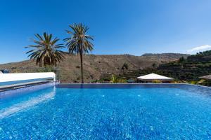 duży basen z palmami w tle w obiekcie Finca Oasis Holidays & Health - Charming Villas w mieście Balcon de Telde