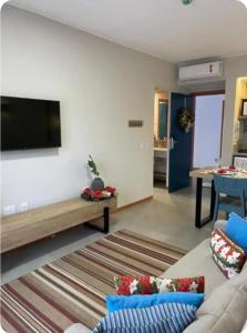 a living room with a couch and a flat screen tv at Apto 1qto Quinta Santa Bárbara in Pirenópolis