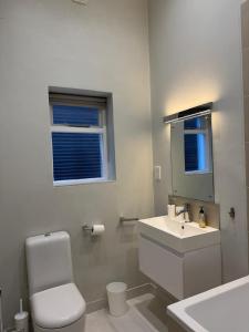 a bathroom with a sink and a toilet and a mirror at Charming apartment Belsize Park in London +19 photos