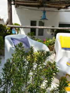 a plant sitting on a table next to a chair at La Bella Annacapri in Anacapri