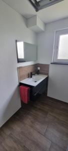a bathroom with a sink and a mirror at Ferienwohnung Odersee in Hattorf