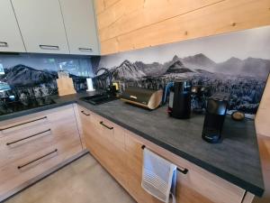 a kitchen with a mountain mural on the wall at Domki góralskie Sabałecka in Zakopane