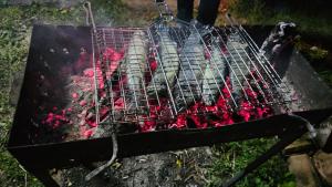 As comodidades para churrasco disponíveis para os clientes desta casa de hóspedes