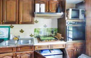 eine Küche mit Spüle und Mikrowelle in der Unterkunft Holiday Home Pleubian Ef-1633 in Pleubian + 15 Fotos
