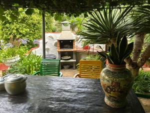 Vonkajšia záhrada v ubytovaní CASA DIEGO