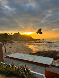 a bird flying over the beach at sunset at Estoril House in Estoril