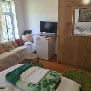 TV a/nebo společenská místnost v ubytování Grandpas House
