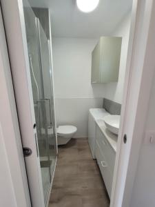 a bathroom with a toilet and a glass shower at Studio Saint Georges de Didonne in Saint-Georges-de-Didonne