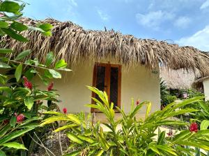 Κήπος έξω από το MAKAI BEACH HOSTEL