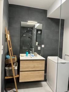 une salle de bain avec un lavabo et un miroir dans l'établissement La Terrasse du Vignoble - Garage et parking privatifs, à Barr 20 autres photos