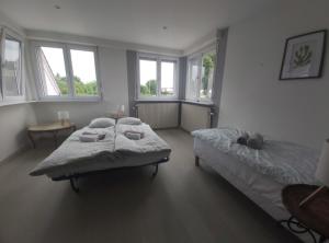 una camera da letto con due letti e due finestre di Chez Jeanine Maison Familiale a Schaeffersheim