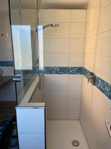 una ducha con puerta de cristal en un baño en Ferienwohnung am Bienenhaus, en Salem