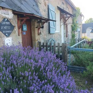 Zahrada ubytování le relais de Sommant