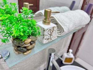 a bathroom with a glass shelf with plants on it at Homely Guest House in Rawalpindi +26 photos