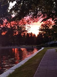 Příroda nedaleko apartmánu