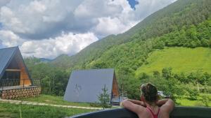 Rau SaduluiA-frame Râu Sadului的一位女士坐在窗边，看着一座山