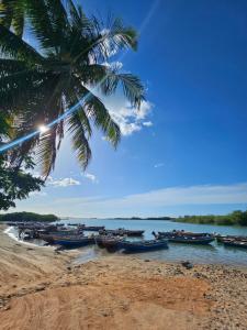 a group of boats on a beach with a palm tree at Kayma Beach in Guriú