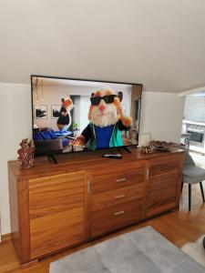 Kuchyň nebo kuchyňský kout v ubytování Apartments Mara Cres