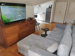 TV a/nebo společenská místnost v ubytování Apartments Mara Cres