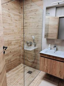 a bathroom with a shower and a sink at Talevski D&T Apartment in Ohrid +18 photos