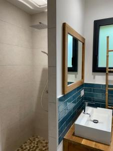 a bathroom with a sink and a mirror at mini villa neuve moderne proche des plages in Brétignolles-sur-Mer +6 photos