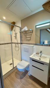 Un baño con inodoro, ducha y lavabo. en 9 - Seigneurie Fouquet - Pesmacody, en Le Palais