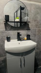 a bathroom with a sink and a mirror on the wall at Brits-Halley Luxury Apartments in Annfield Plain +20 photos