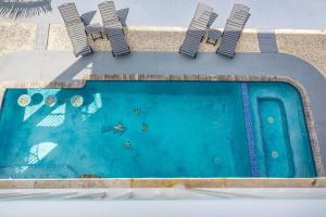 a swimming pool with a shark painted on it at Tipsy Turtle - Waterfront Pool Home, Direct Atlantic Access! in Marathon