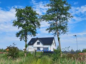 ZastańVilla Koprowo - mit direktem Seezugang, Sauna & Whirlpool的一座白色的房子,两棵树在田野里