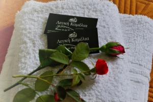 Fotografie z fotogalerie ubytování Λευκή Καμέλια v destinaci Anilio Pelion