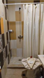 クラネヴォにあるSunny Apartments Kranevoのシャワー(トイレ、シャワーカーテン付)